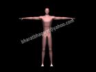 3D Human Male Character Model.