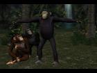 New Skins for the DAZ Chimpanzee