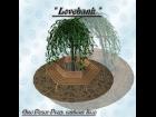 My Lovebank without Tree