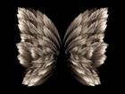 Wings Created ByMaryHines-01-01