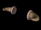 00-03--Horn_by_d-jpp