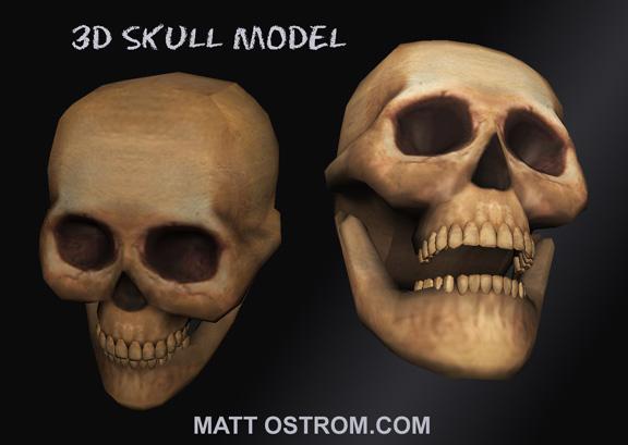 3D Skull Model OBJ