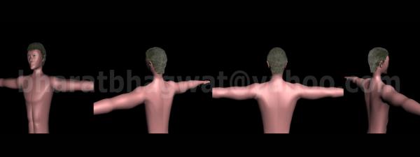 3D Human (Male) Character - Hair