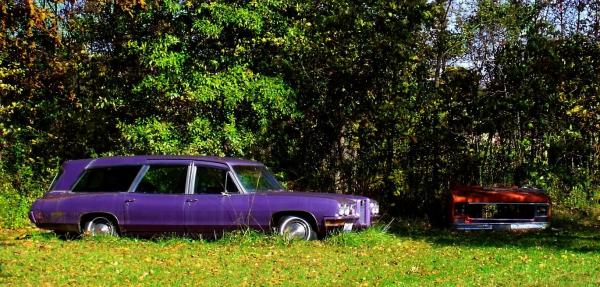 purple pontiac