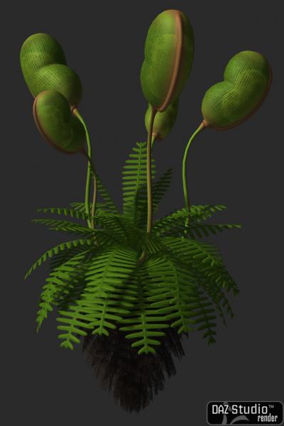 Sky Fern for Poser