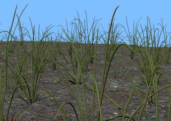 Grass models