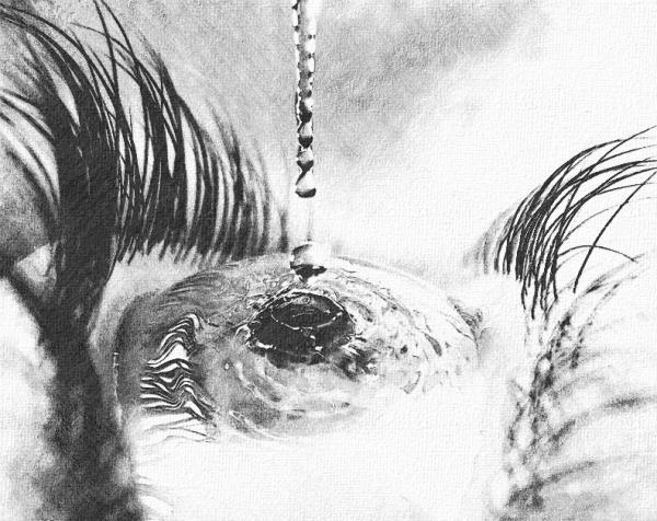 Water in my Eye (Pencil Sketch)