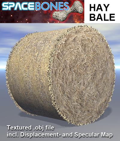 Hay Bale 3d Model Sharecg