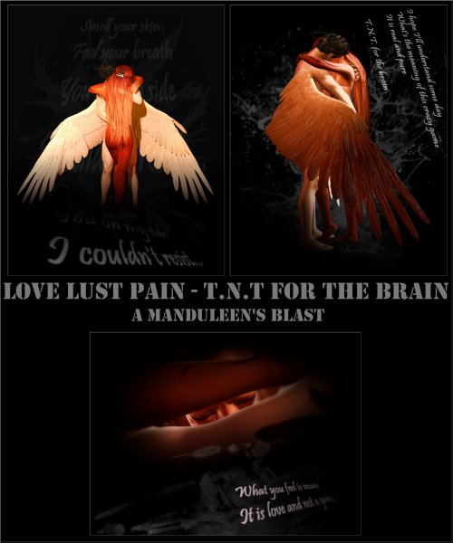 LLP: Love-Lust-Pain - T.N.T for the brain