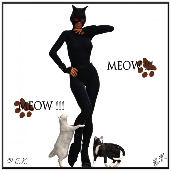 Meow !!! Meow !!!