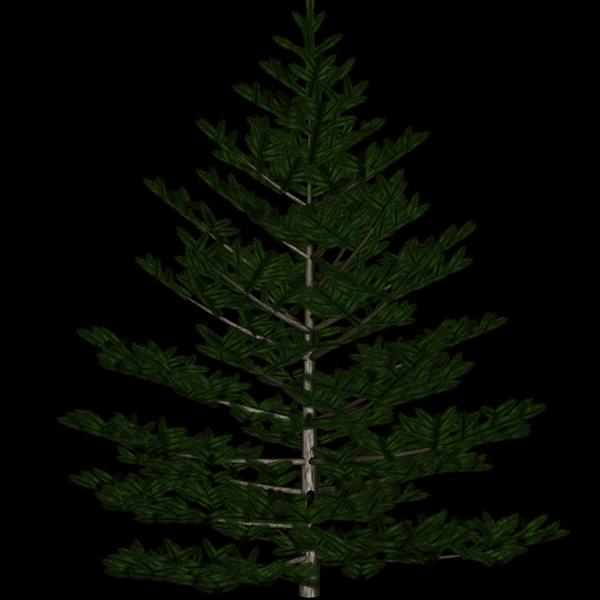 WC Fir Tree for Christmas