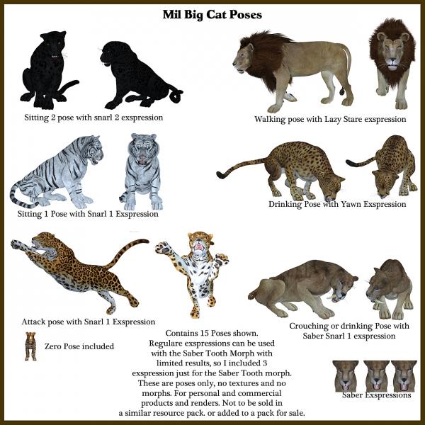 Mil Big Cat Poses