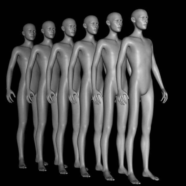 Slender Build Morph for Genesis 1