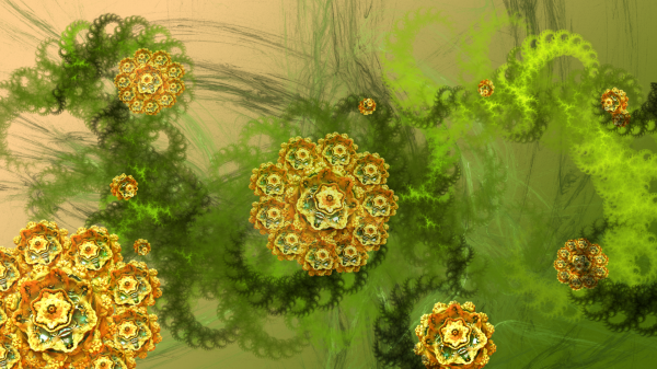 Fractal Flowers