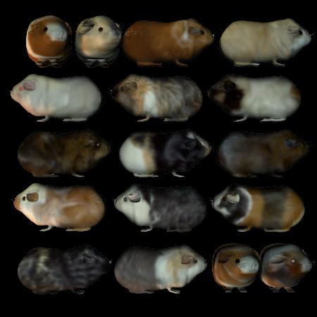 Guinea Pig Texture Set #2