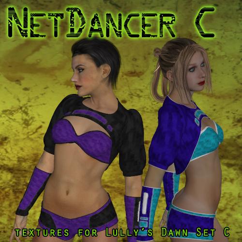 NetDancer C