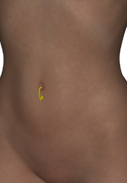 Genesis Belly Ring