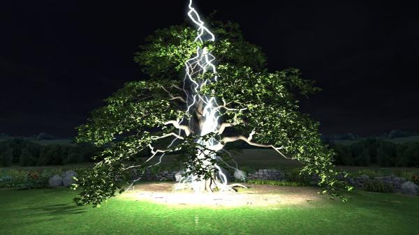 Thor&#039;s Oak