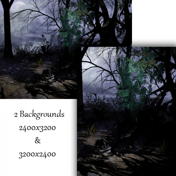 Dark Woods Backgrounds Landscape and Portrait