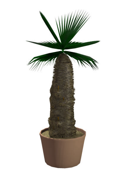 Thatch palm