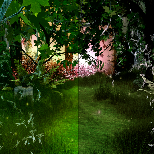 Fantasy Woodland Background