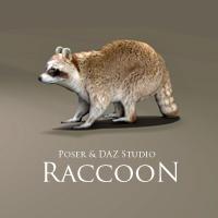 Raccoon Prop for Poser & DAZ Studio