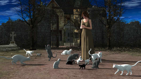 Crazy Cat Lady