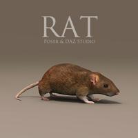 Rat Prop for Poser & DAZ Studio