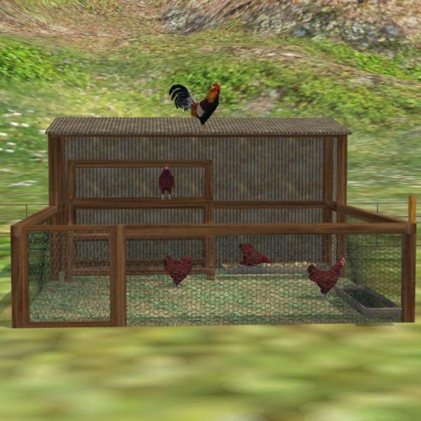 Chicken Coop