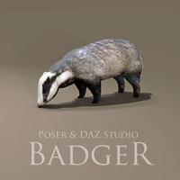 Badger Prop for Poser & DAZ Studio