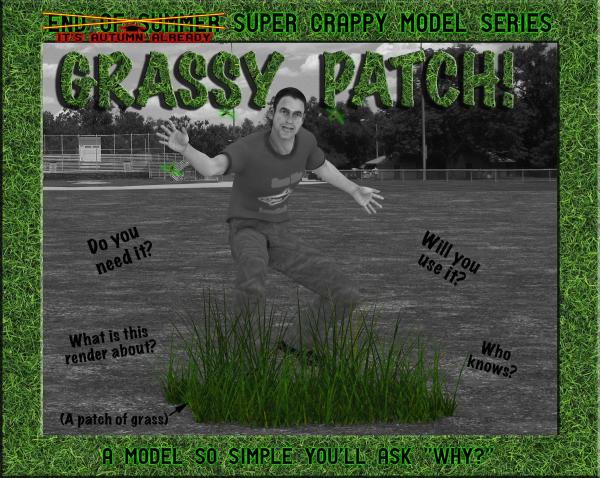 Grassy Patch