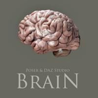 Brain Prop for Poser and DAZ Studio