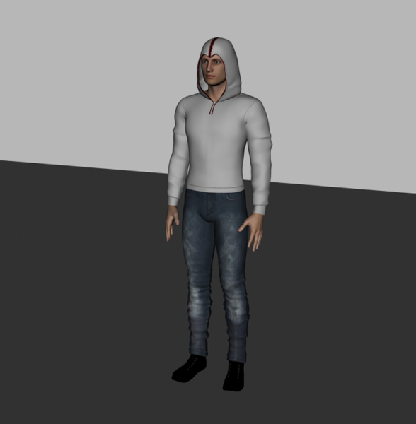 assassin hoodie