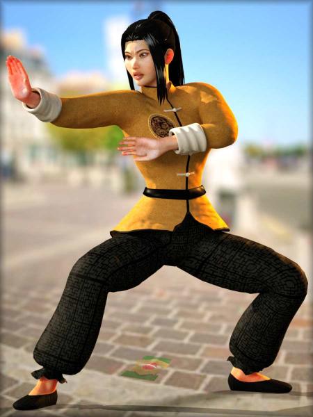 Kung fu store girl