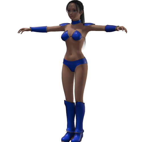 Bikini Armor AddOn Panties  for Aiko4