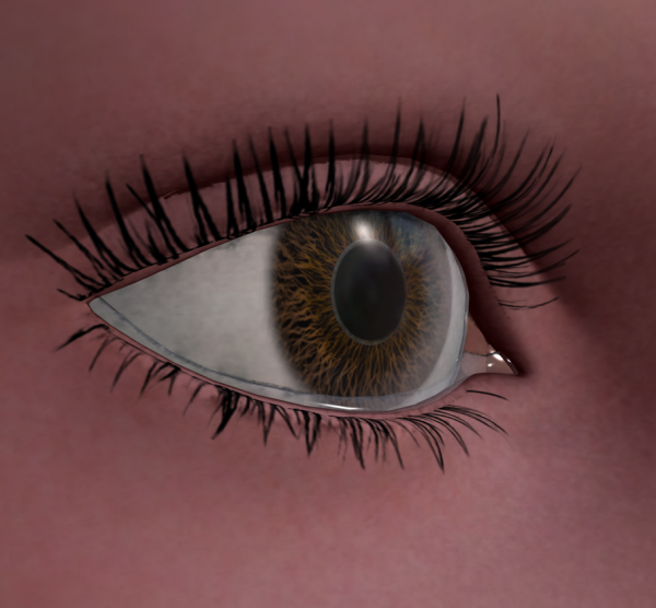 Visual Guide To Simple Iris Texture Creation