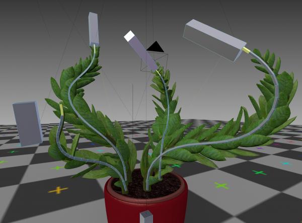 Rigged Indoor Plant