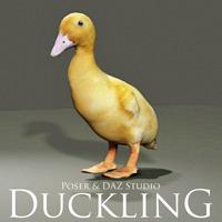 Duckling Prop for Poser and DAZ Studio