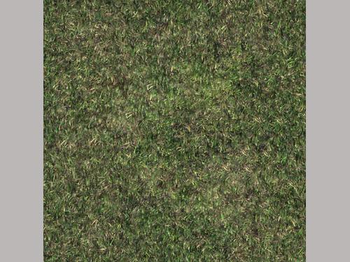 grass T02 tileable