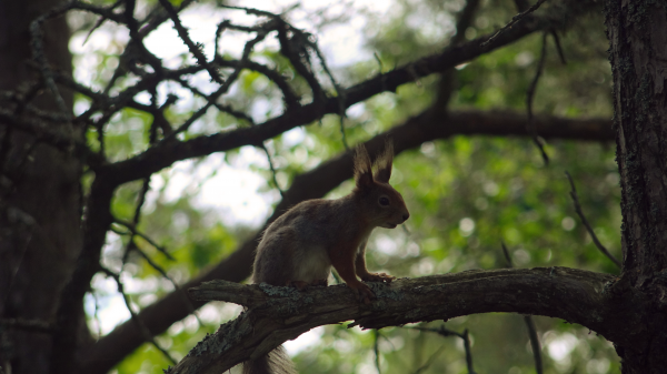 Some cool nature and landscape photos I&#039;ve taken