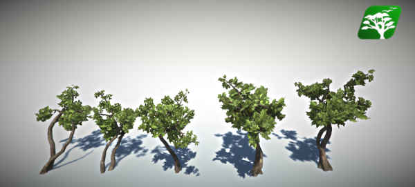 Free Realistic Tree 10