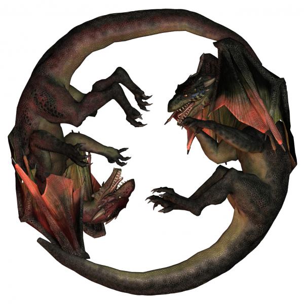 Millenium Subdragon Yin Yang Poses