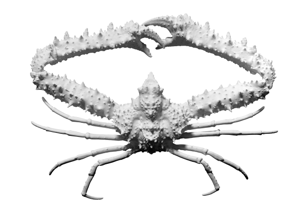 3d scan of an Elbow crab