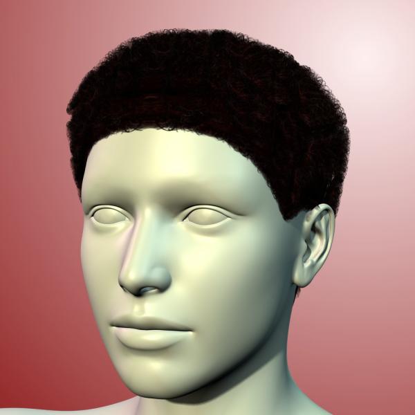 MakeHuman v1.1.0 Hair for Genesis 1