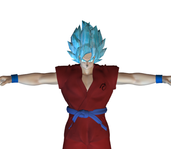 GOKU ACCESORIES