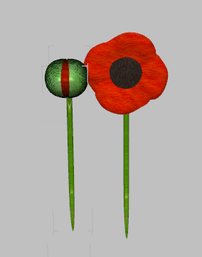 Flanders Poppy