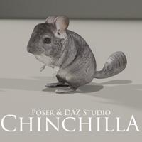 Chinchilla for Poser and DAZ Studio