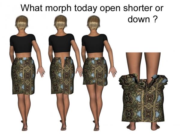 Skirt with zip re-upload