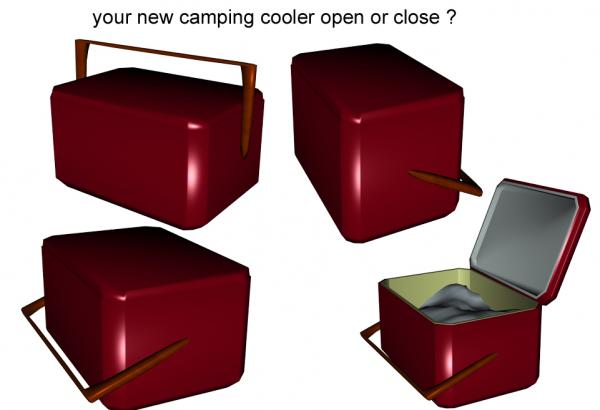 Camping cooler