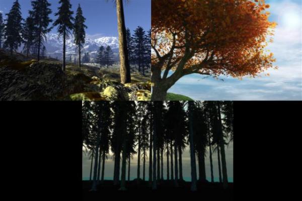 3 Tree Backgrounds